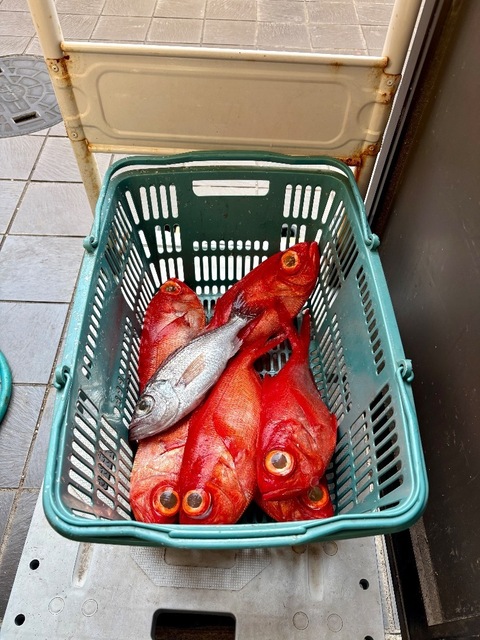 IMG_0614.jpeg
